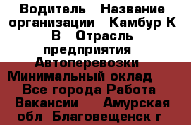 Водитель › Название организации ­ Камбур К.В › Отрасль предприятия ­ Автоперевозки › Минимальный оклад ­ 1 - Все города Работа » Вакансии   . Амурская обл.,Благовещенск г.